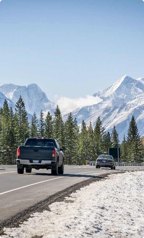 Alberta Drivers Licence Renewal
